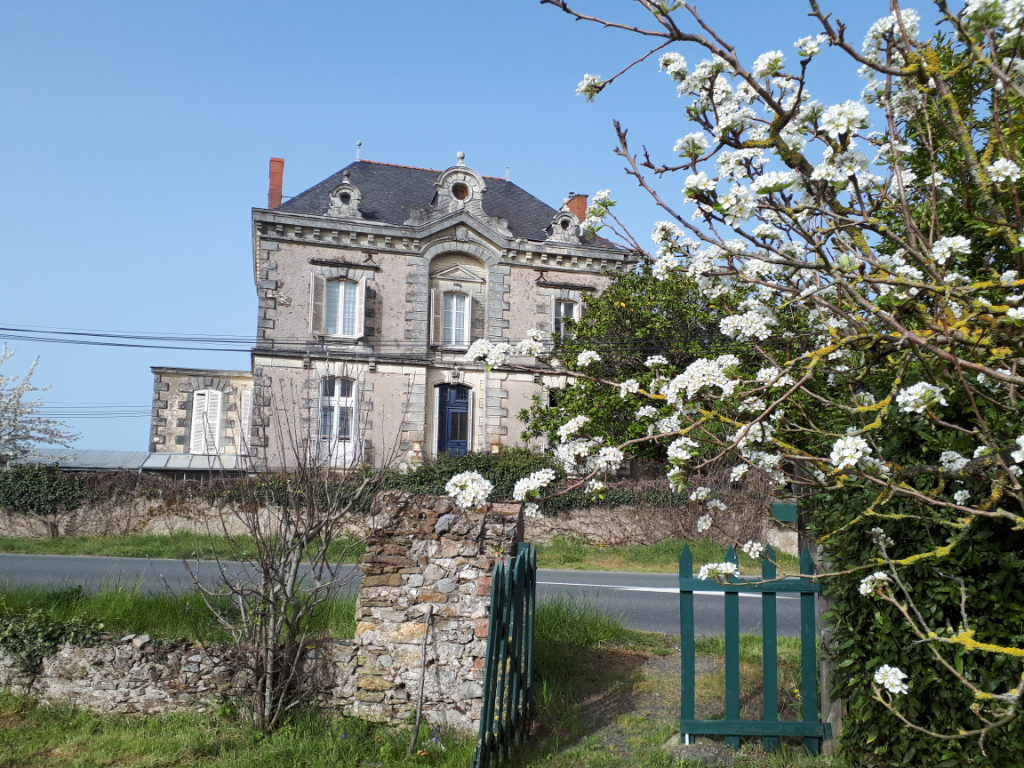 Montjean Sur Loire Maison Bourgeoise de 208 m2, 5' de Chalonnes sur Loire Montjean Sur Loire Maison Bourgeoise de 208 m2, 5' de Chalonnes sur Loire