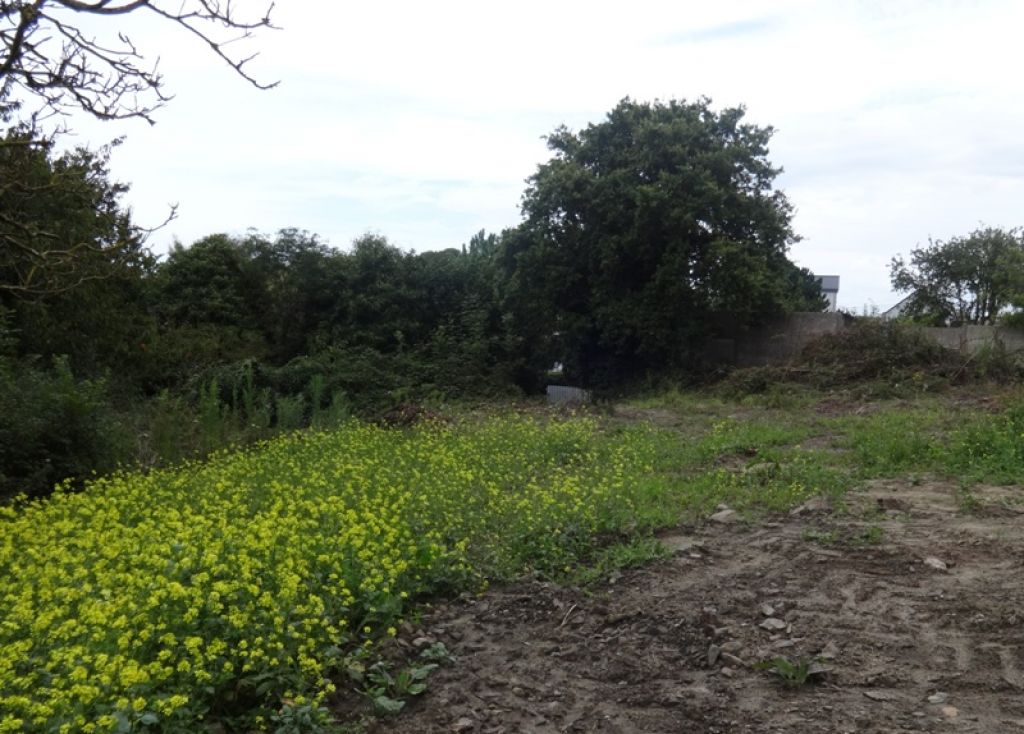 A VENDRE TERRAIN CONSTRUCTIBLE SAINT-CAST-LE-GUILDO A VENDRE TERRAIN CONSTRUCTIBLE SAINT-CAST-LE-GUILDO