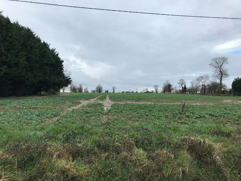 TERRAIN CONSTRUCTIBLE de 550m² - SAINT CAST LE GUILDO TERRAIN CONSTRUCTIBLE de 550m² - SAINT CAST LE GUILDO