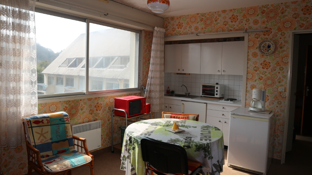A VENDRE STUDIO SAINT CAST A VENDRE STUDIO SAINT CAST