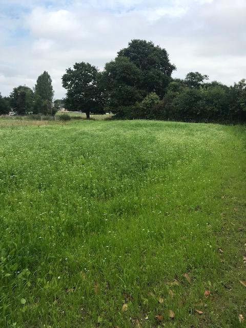 A VENDRE TERRAIN CONSTRUCTIBLE BOURSEUL A VENDRE TERRAIN CONSTRUCTIBLE BOURSEUL
