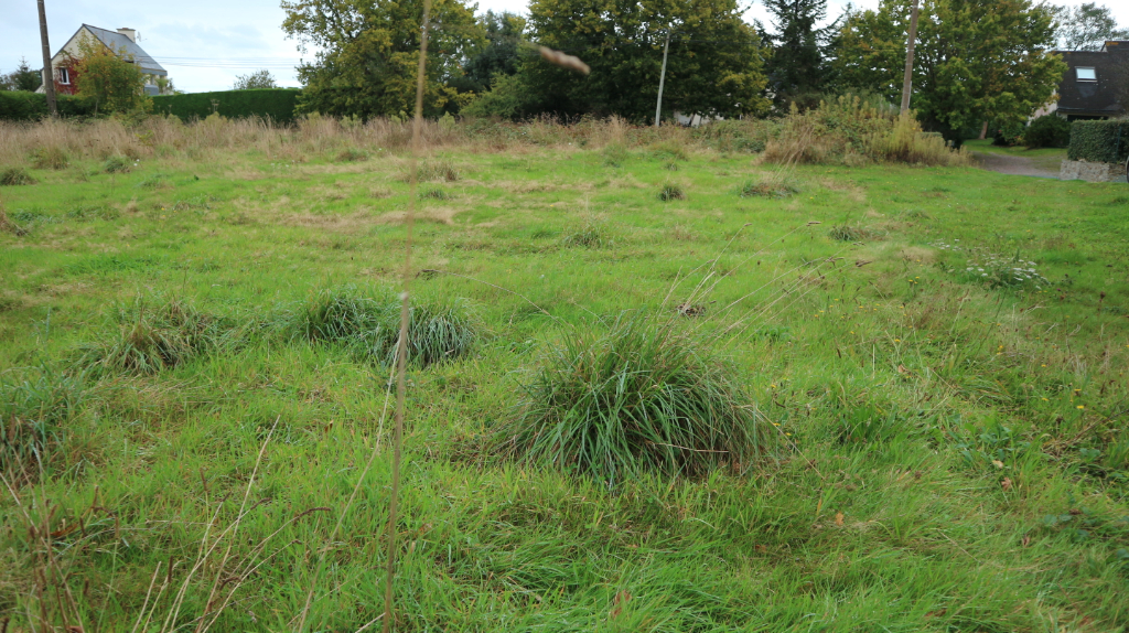 VENTE TERRAIN CONSTRUCTIBLE SAINT CAST VENTE TERRAIN CONSTRUCTIBLE SAINT CAST