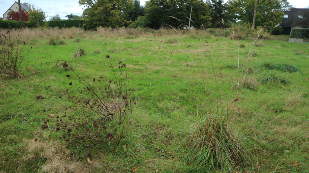 A VENDRE TERRAIN SAINT CAST LE GUILDO A VENDRE TERRAIN SAINT CAST LE GUILDO
