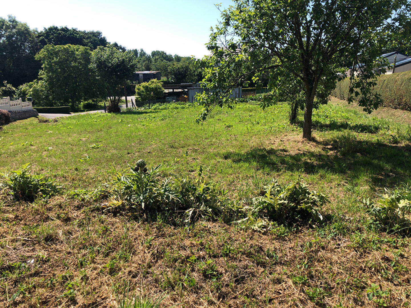 A VENDRE TERRAIN A BATIR PLANCOET A VENDRE TERRAIN A BATIR PLANCOET