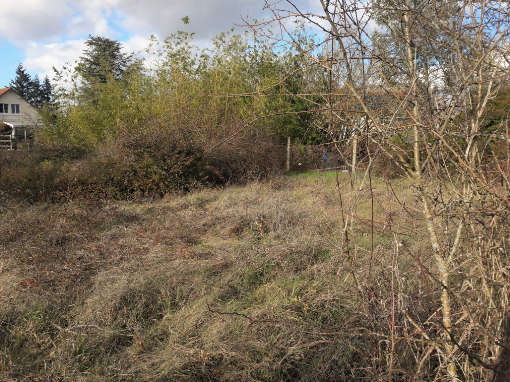 Terrain Migné Auxances 1034 m2 Terrain Migné Auxances 1034 m2